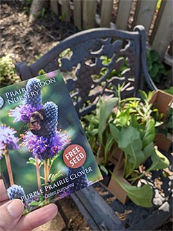 a packet of wildflower seeds and native plant in the background
