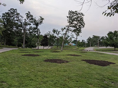 a flat grassy yard with 10 empty circles of dirt.