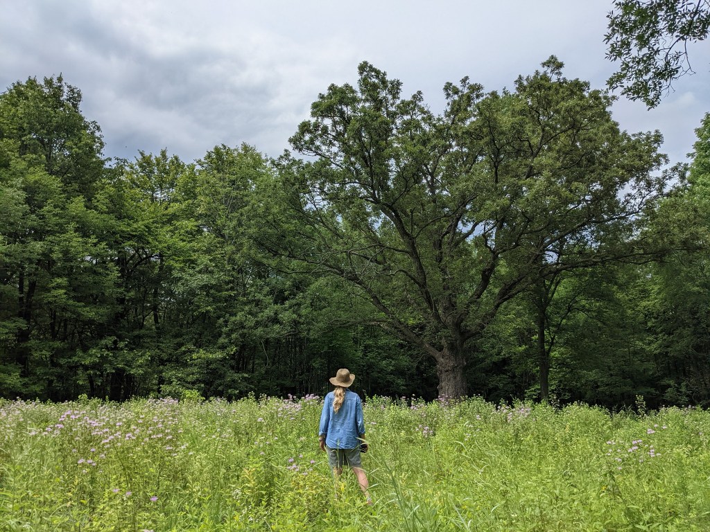 Let Us Become&nbsp;Stewards