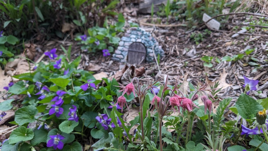 purple violets contrasted by pink prarie smoke