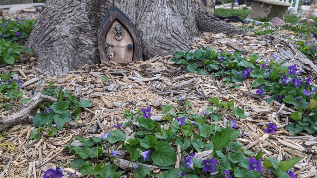 An Ode to&nbsp;Violets